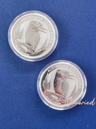 Kookaburra 2012 - oz,