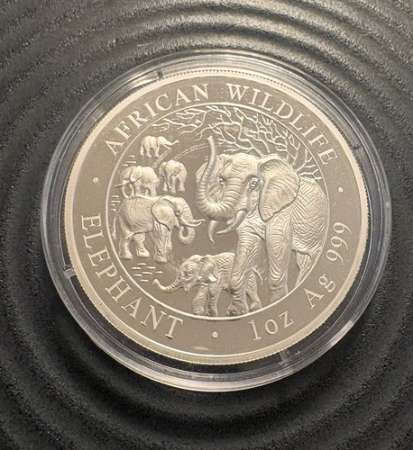 Somalia elefant 2008 oz - somalia, 1