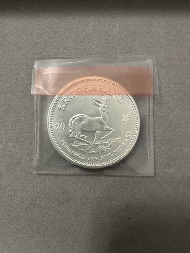 Unze 999ag silbermünze - 31, 1g