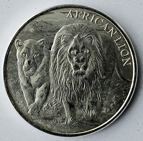 Congo african lion unze - congo,